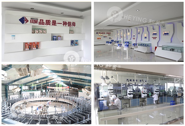 中国乳业阿米巴标杆访学-跟随和英阿米巴，走进牡丹江红星乳业