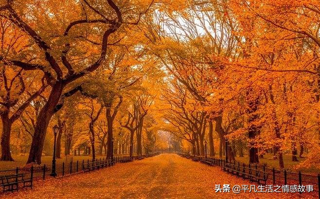 我拥抱了秋韵送来的那份景致