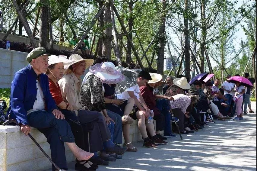 打卡金海湖湿地公园,金海湖湿地公园一日游攻略