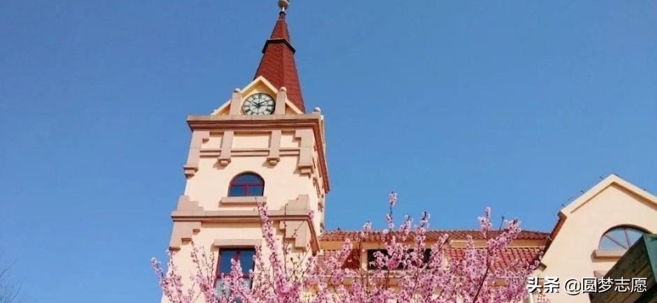 山东有专科的公办本科院校有哪些,山东公办本科院校招专科的有哪些