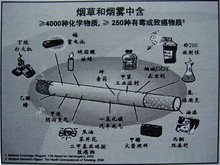 太危险了！吸烟的朋友快进来看看吸烟都有哪些危害吧