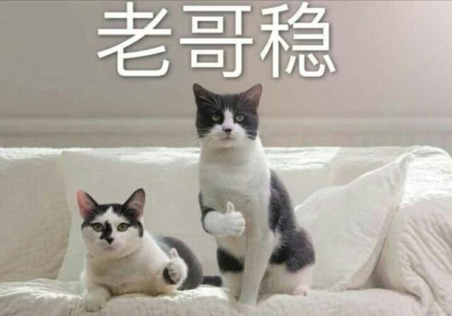 dnf阿拉德十大未解之谜,dnf阿拉德细节介绍