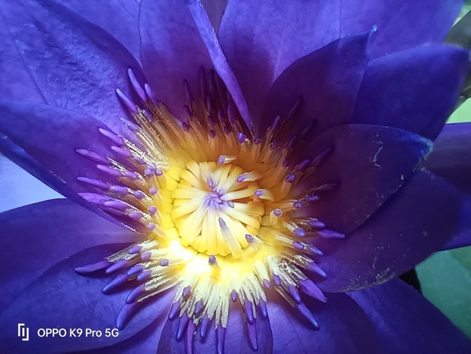 oppok9pro不支持双5g,oppok9pro入手后真实评价