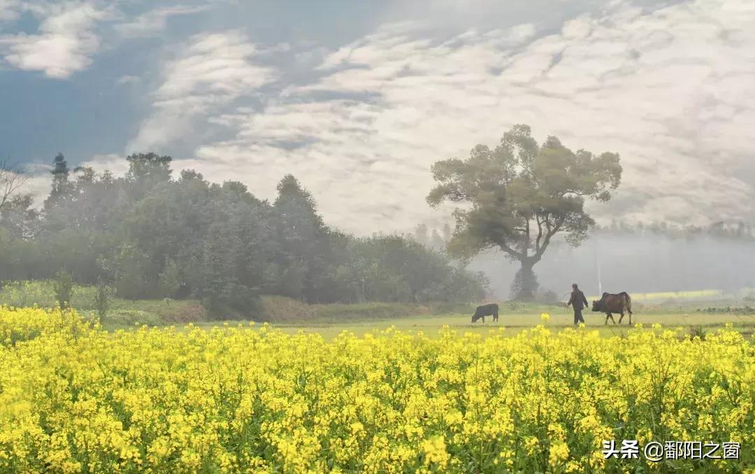九峰山“春色”撩人丨不给你点颜色看看，你都不知道这里有多美！
