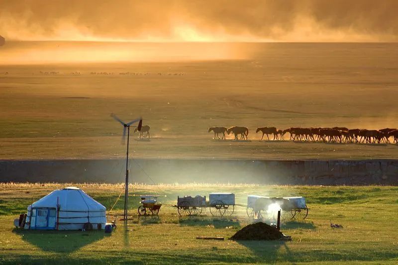 突然想去新疆旅游,突然好想去呼伦贝尔