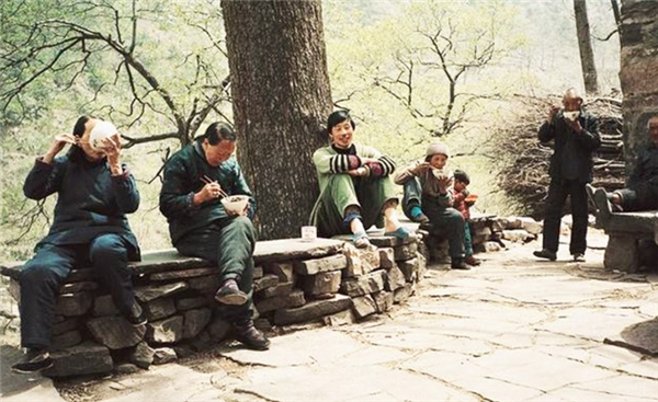 上世纪70年代打狗运动是怎么回事,上世纪打狗运动