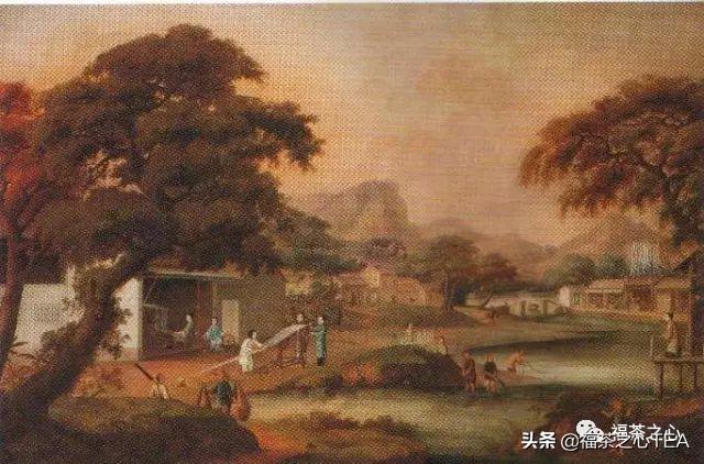 中英茶叶贸易的不同特点,马克思论鸦片贸易史