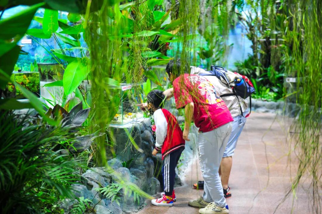 免费！森林物语•虫现江湖，“热带雨林”空降济南！