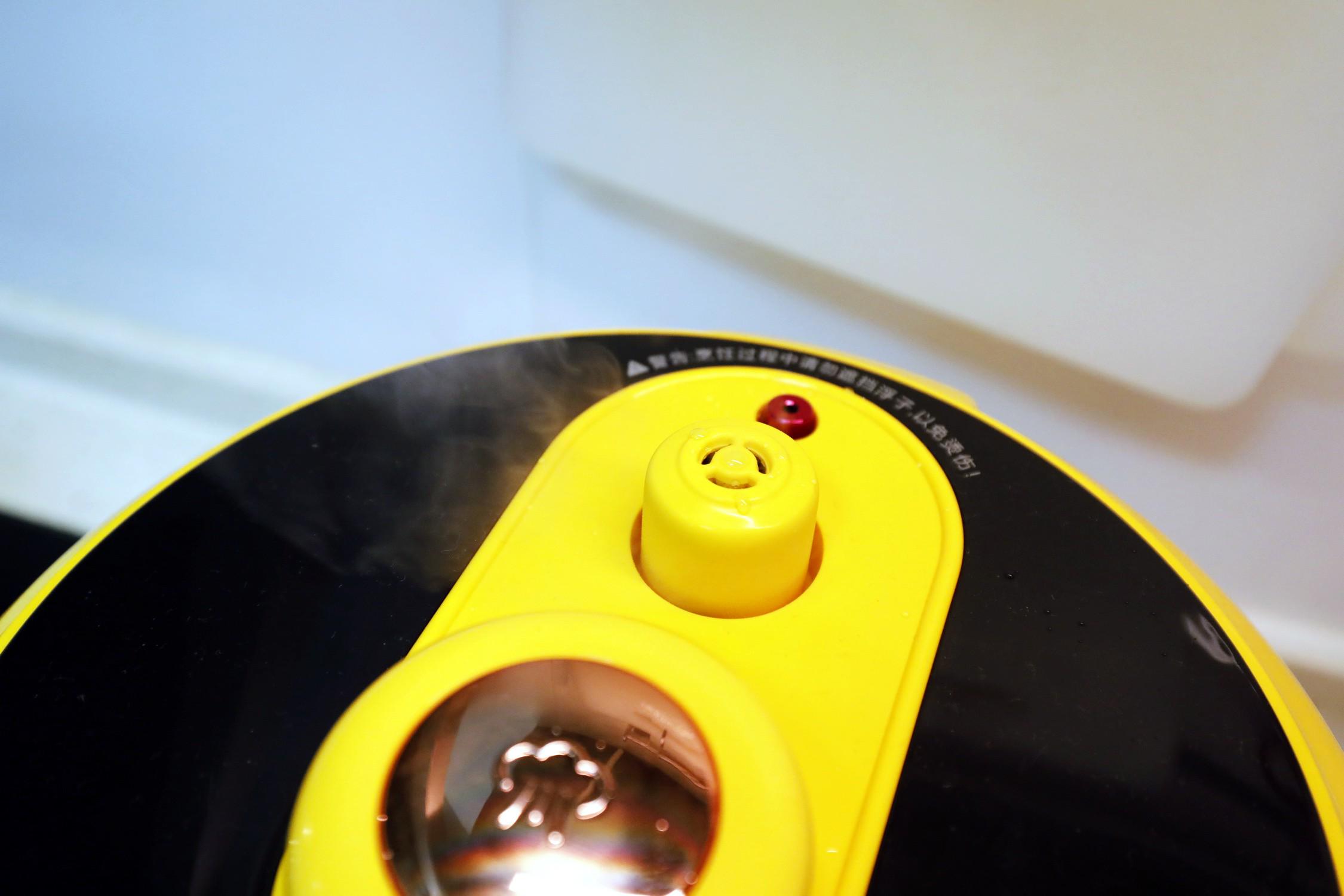 蒸煮两用电压力锅哪个牌子好,家用压力锅和微压锅哪个好