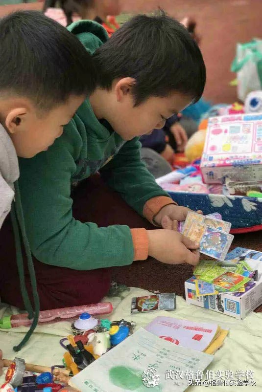 球球生活记录,球球在海边的生活