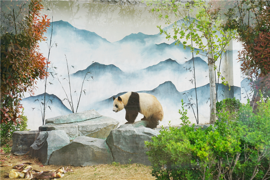 我和宿州有个约会，一场花事，一次慢旅行，探寻最烟火的宿州味道