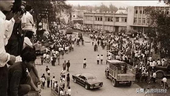 蛇口开发区前世今生,蛇口的历史