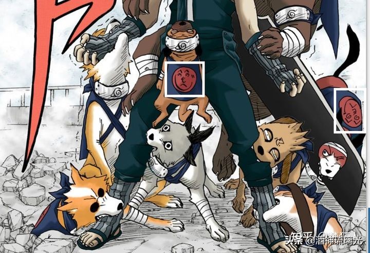 为什么卡卡西天赋那么高却不强,为什么卡卡西有完全体