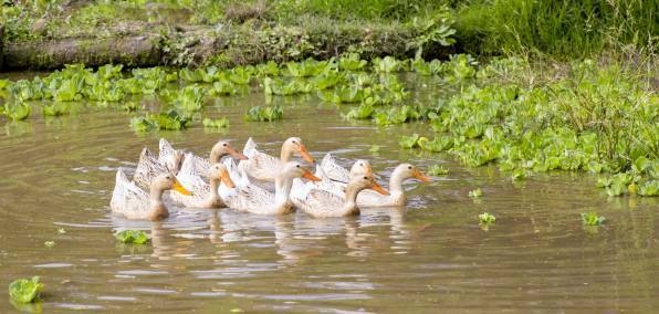 洛江虹山生态旅游,洛江虹山最新视频