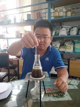 对虾黄鳃黑鳃是什么原因,对虾黄鳃防治