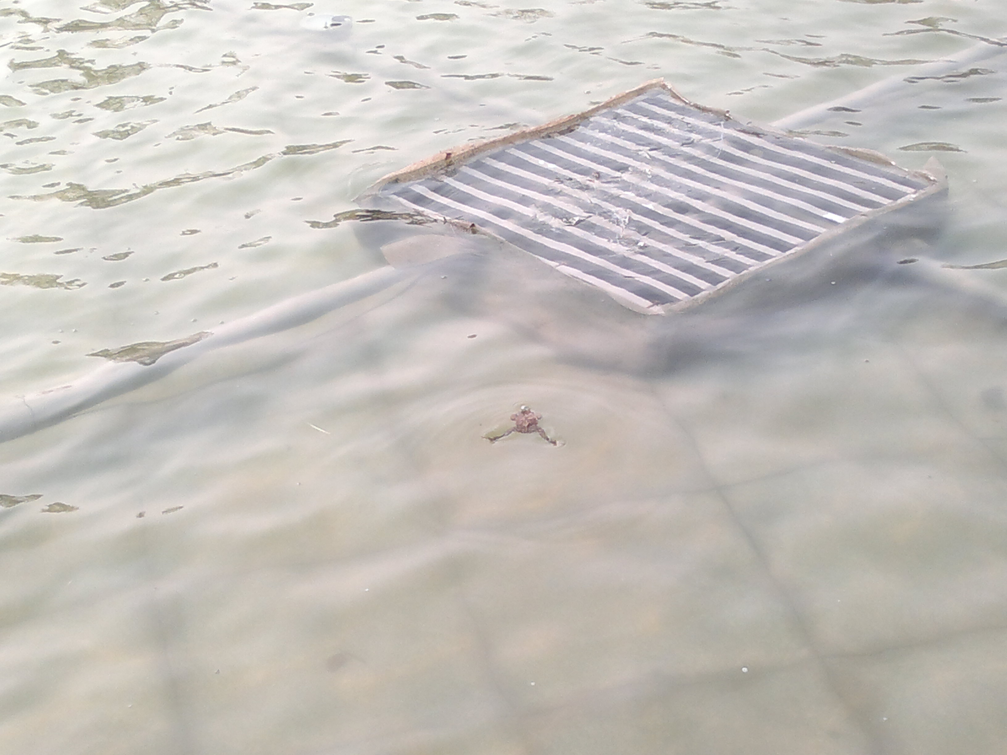 锦州世博园最好的地方,锦州世博园最佳游玩时间