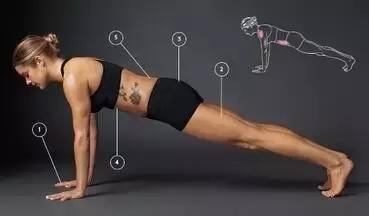 瑜伽平板支撑每次需要做多长时间,女性做平板支撑好还是瑜伽好