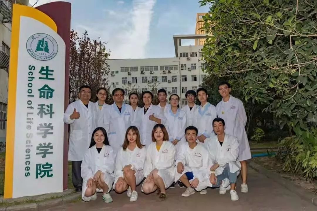 2023年考研报考人数继续飙升,考研关注