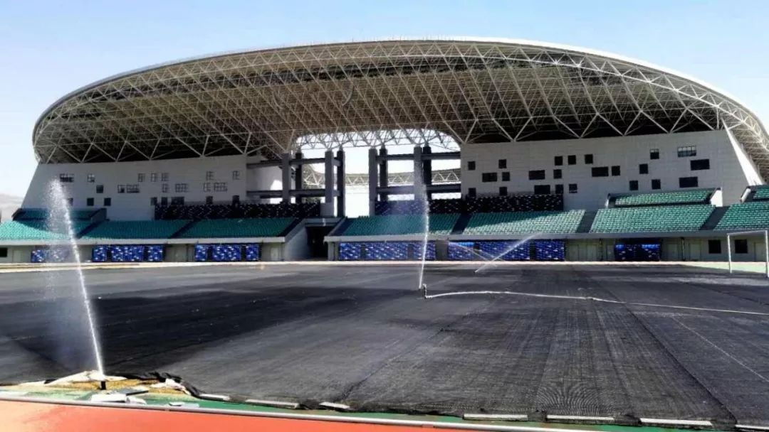 足球草皮技术,科普一下世界足坛的草坪系统