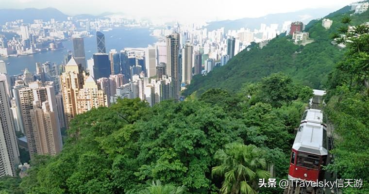 旅行丨我想去香港旅行逛！逛！逛！买！买！买！