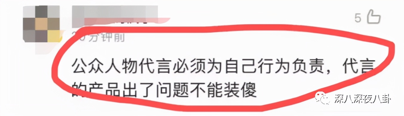 李维嘉代言加盟品牌后续,李维嘉陷入代言风波