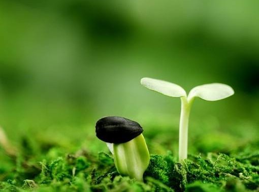 叛逆的高中生该怎么办,高中生叛逆解决办法