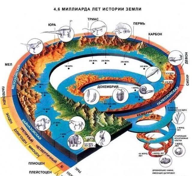 人类杂交实验可能性,日本杂交胚胎实验成功了吗