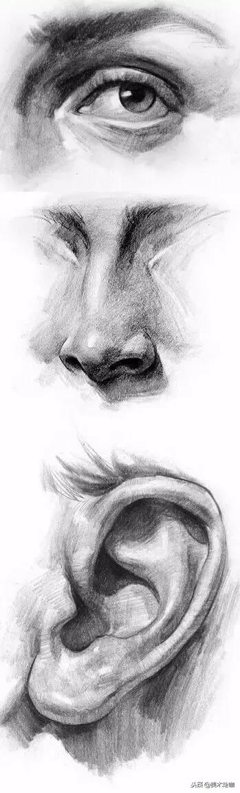 有了画画本和彩色笔还要用什么,有了这些临摹资料你还需要买书吗