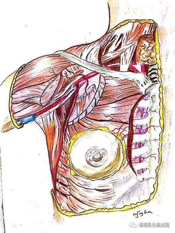 最贵的房子内部图片,最贵的房子内部