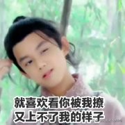 小哪吒吴磊图片 (吴磊是小哪吒吗)