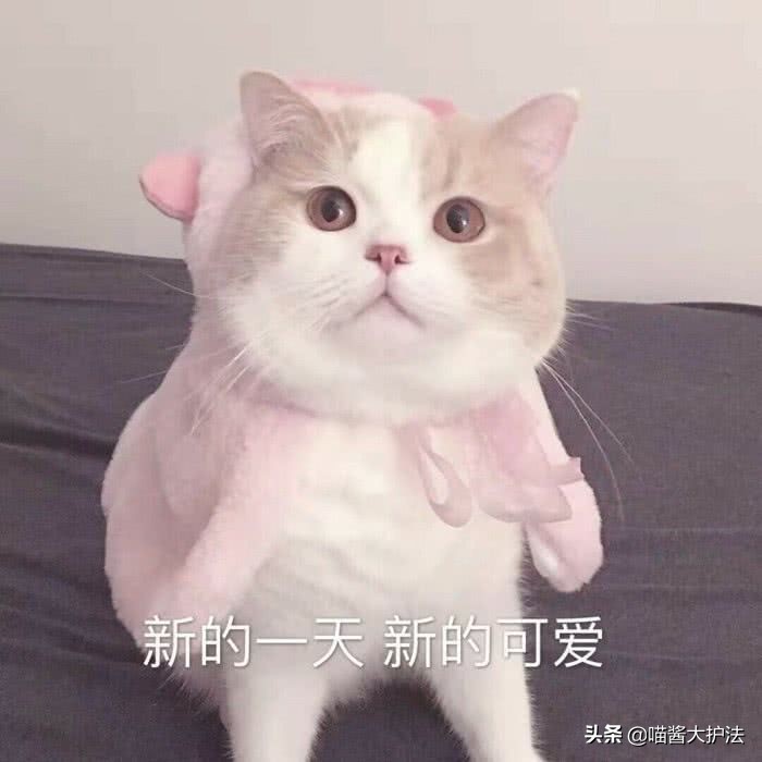 宝宝红屁股了好难过,宝宝红屁股了怎么回击