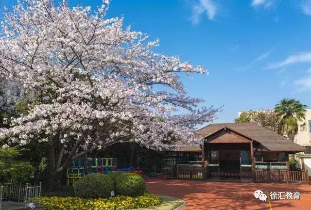 上海市徐汇区幼儿园名单,徐汇区有哪些示范幼儿园