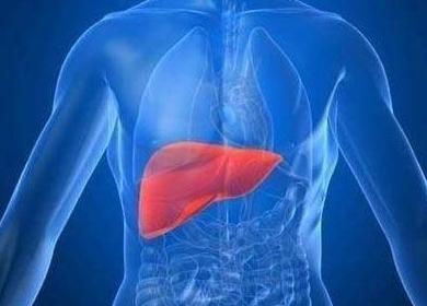 春季养肝疏肝解郁茶,吃什么食材护肝养肝效果最好