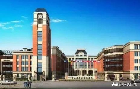 上海市十大潜力小学,2020上海市新晋最有潜力十大小学