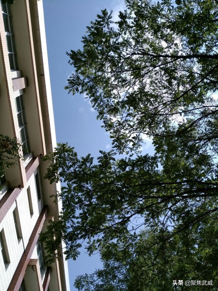 武威读书,在武威一中读书好吗