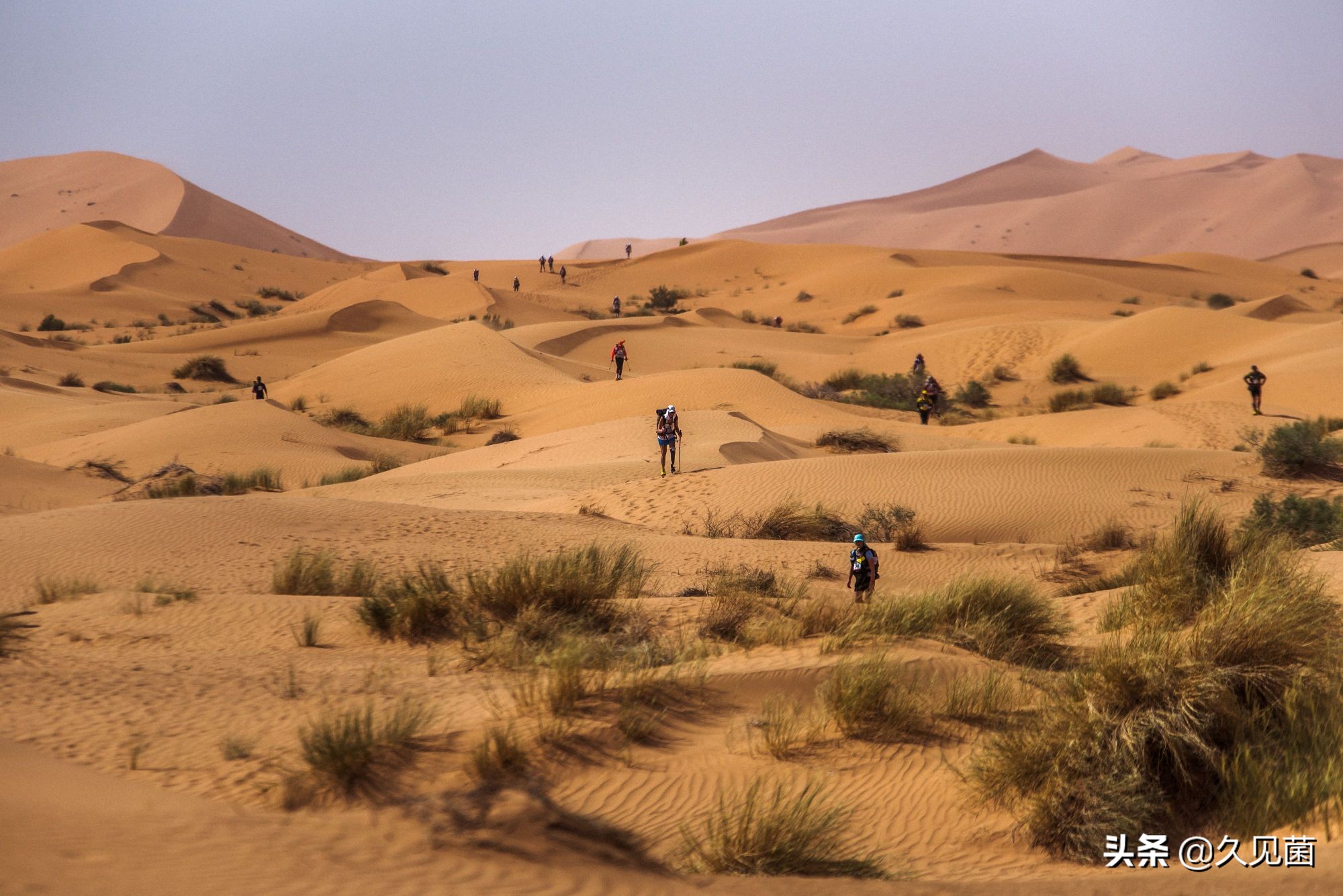 全世界有多少土地面临沙漠化,世界有多少沙漠面积