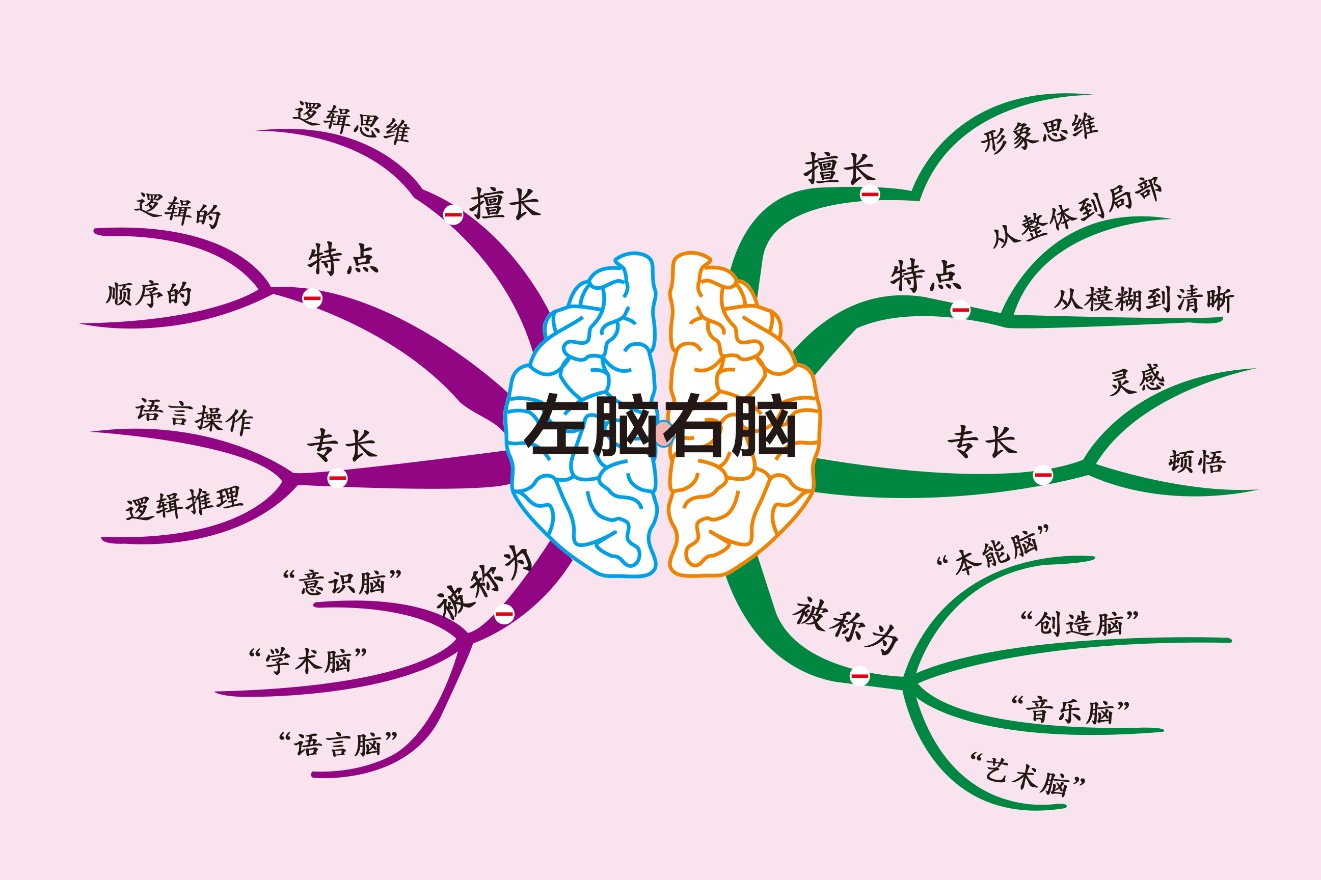 小学生学思维导图，思维领先一步，成绩提高一点，幼儿园都可以学