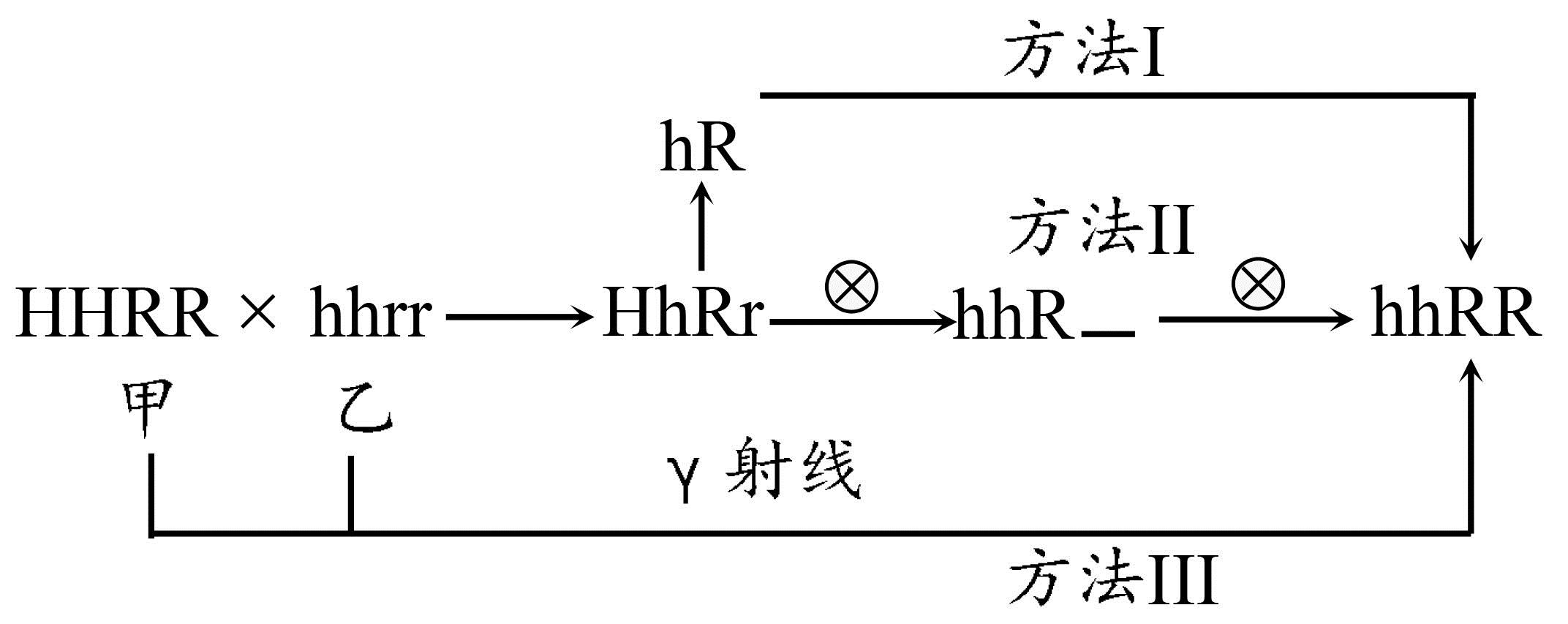 生物期中考选择题必考知识点,2017年生物期中考试题