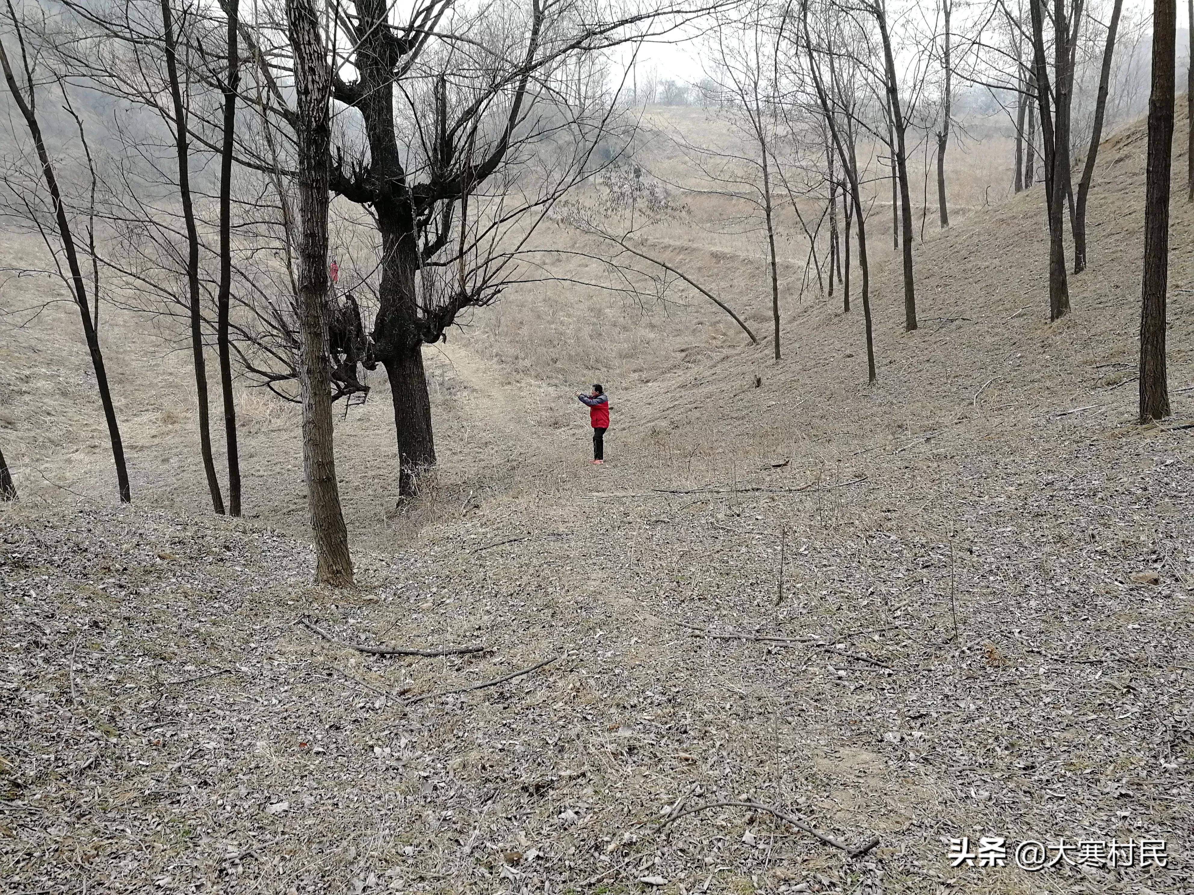 想象春天,想象中的春天