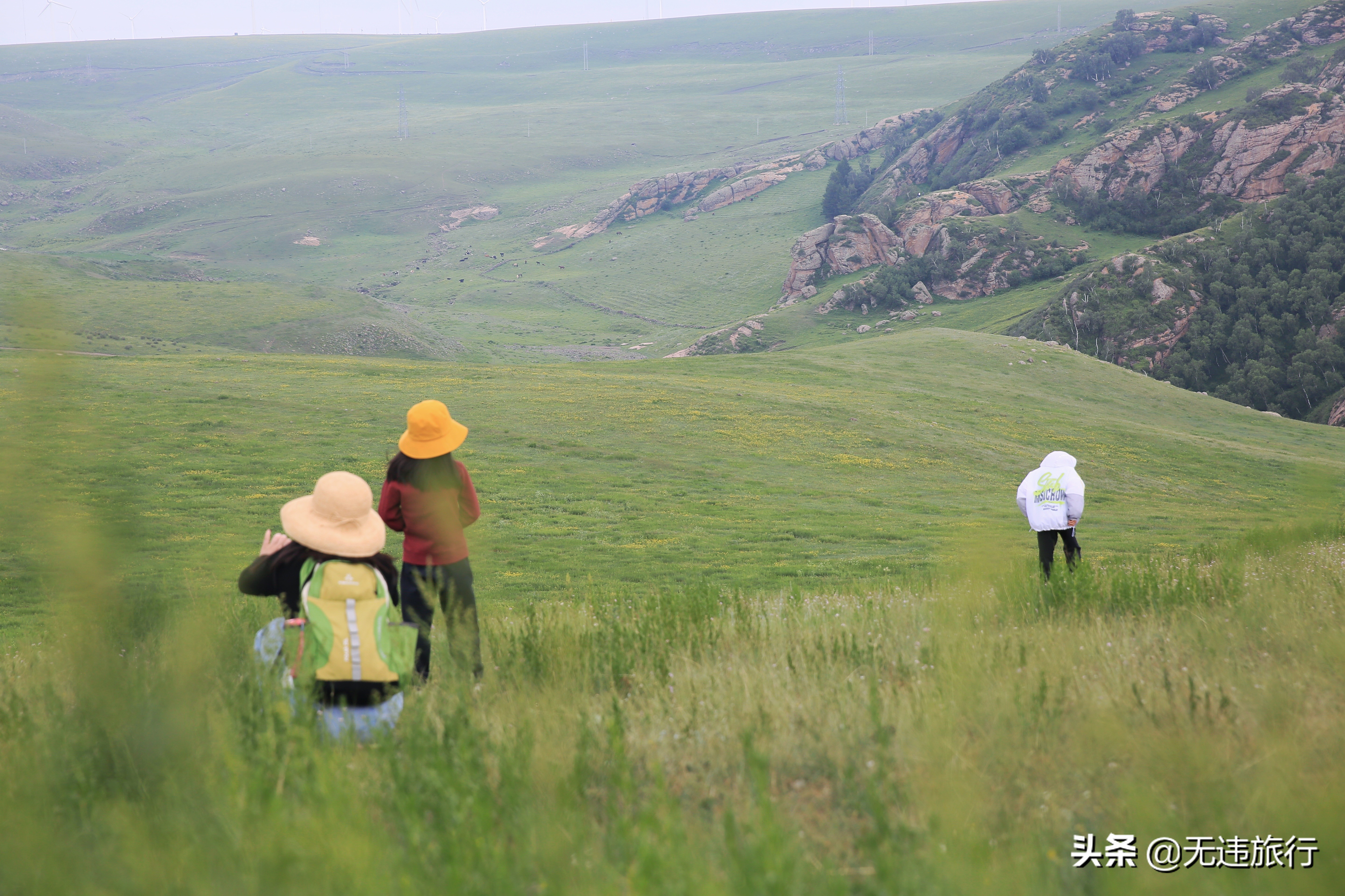 辉腾锡勒草原黄花沟游玩时长,辉腾锡勒草原黄花沟见闻
