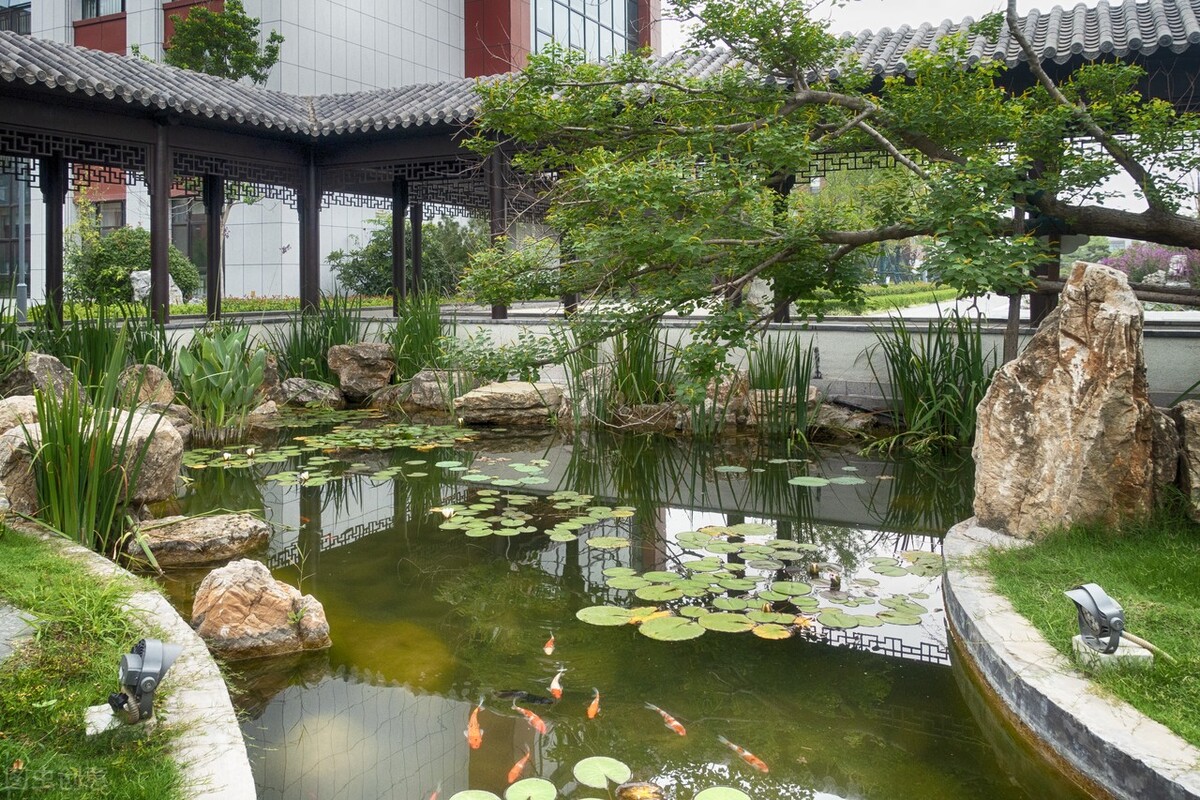 锦鲤鱼池用什么过滤最好呢,全自动过滤系统锦鲤鱼池施工方案