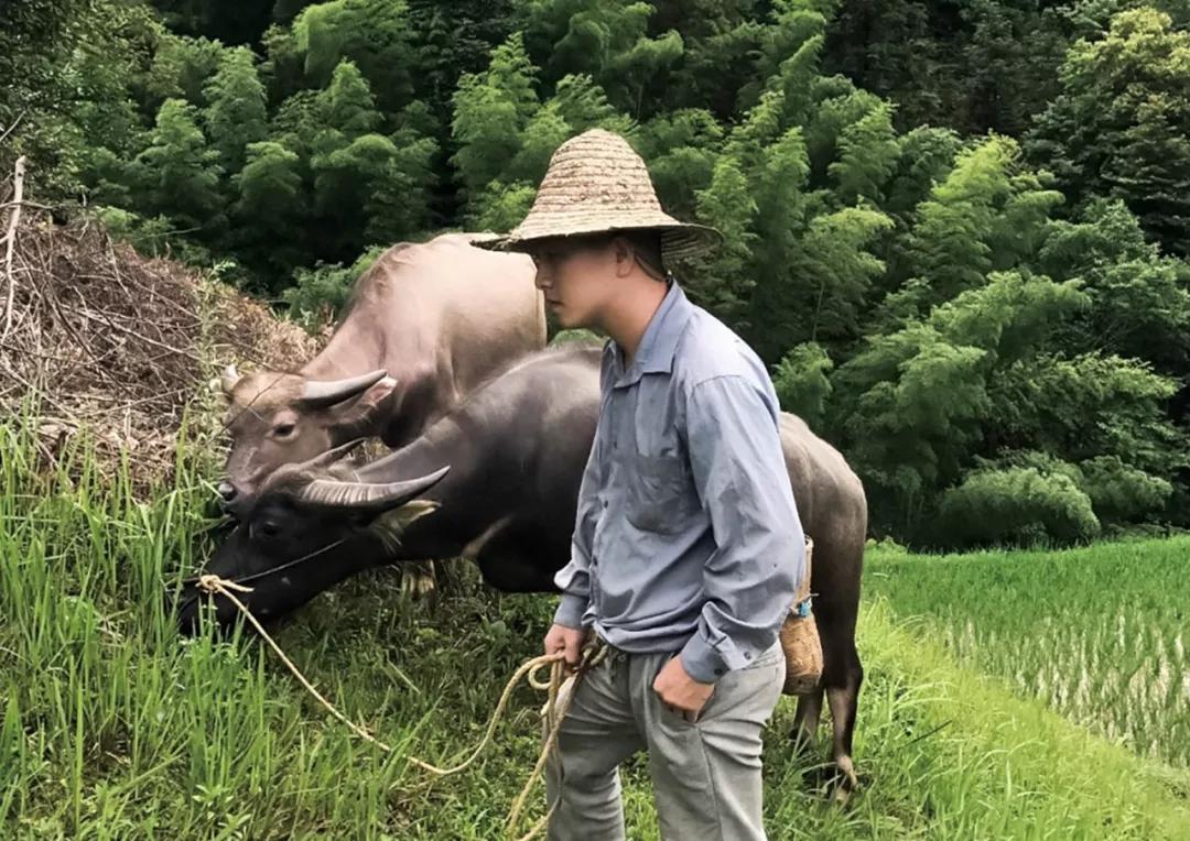 贵州网红“乞丐哥”的罪恶人生,网红乞丐哥拐卖多名少女
