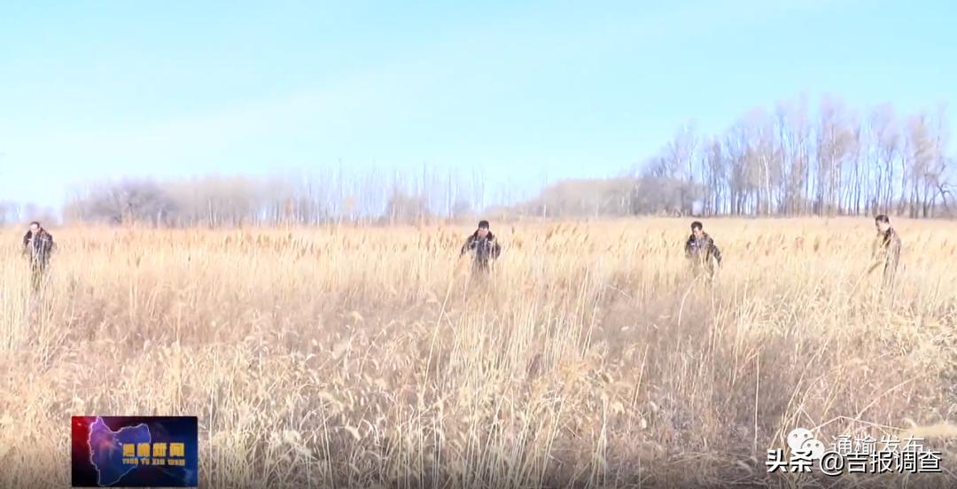 吉林省向海森林公安,向海自然保护区森林警察