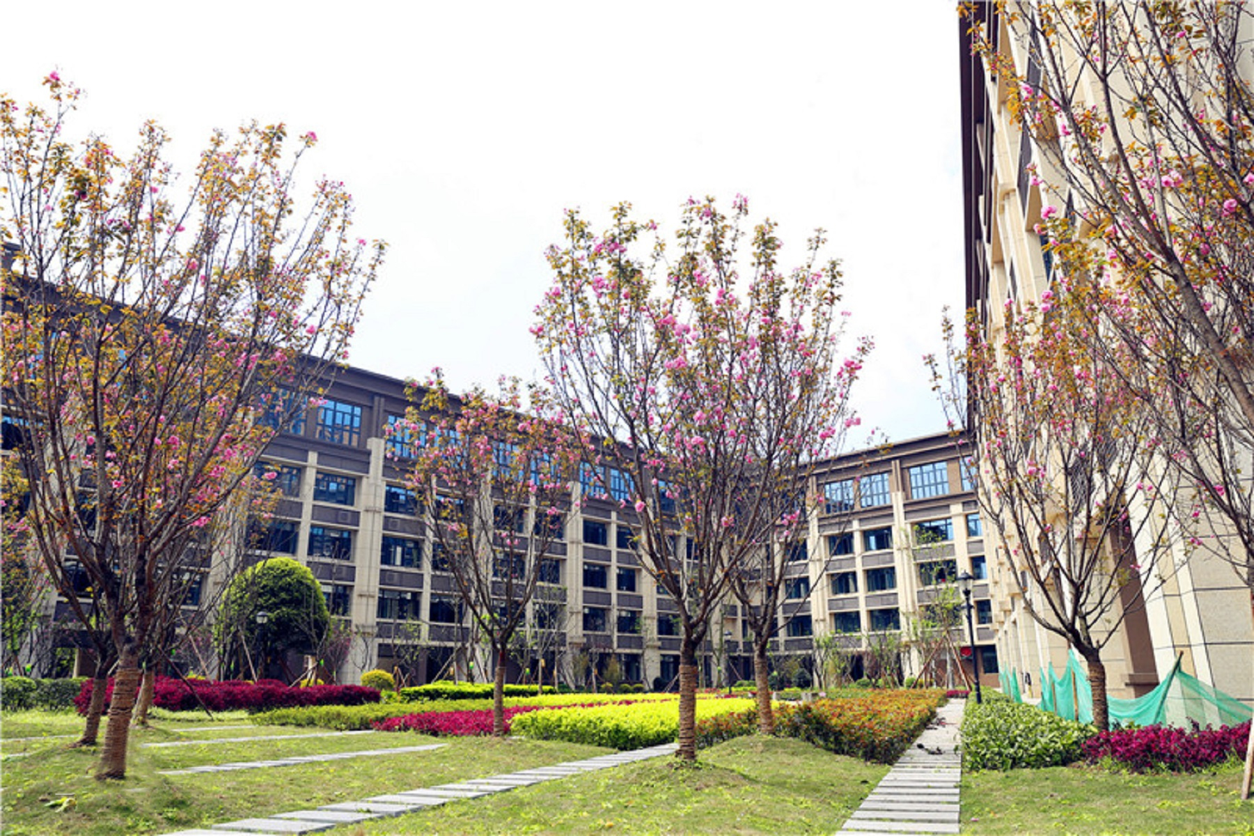 重庆哪所学校环境最好,重庆最美学校