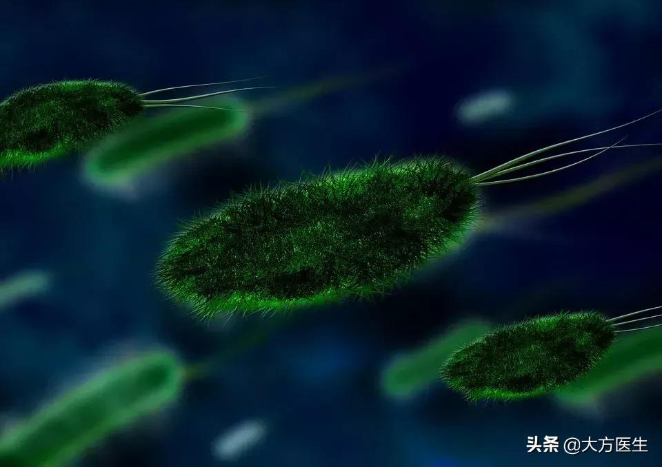 顽固口臭彻底根除,顽固口臭有什么药