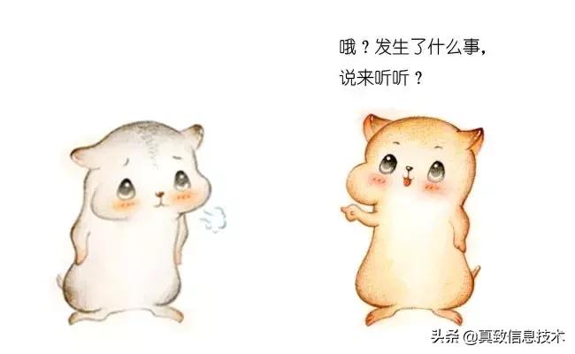 什么是中台元仓,什么是中台测试