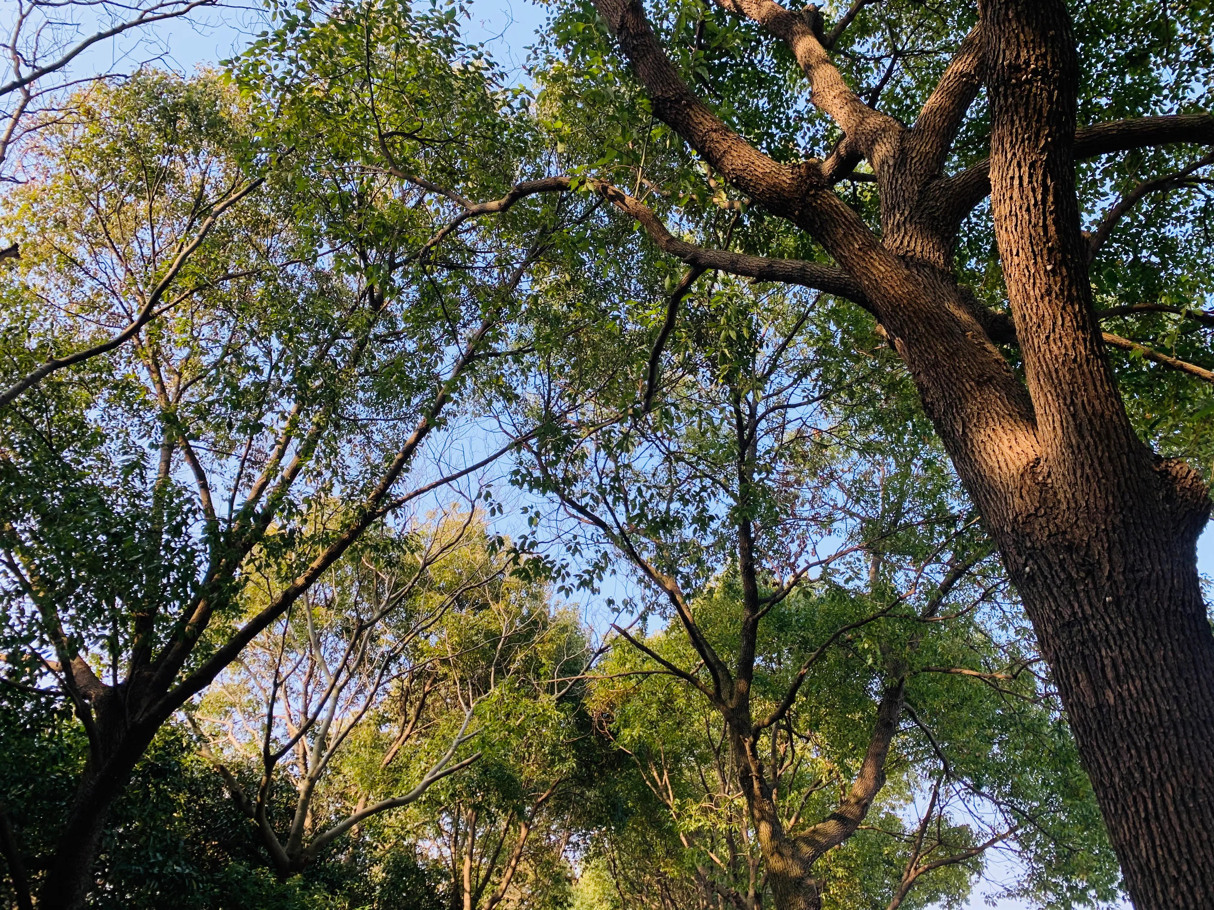 常熟沙家浜风景区一日游价格,常熟沙家浜旅游攻略
