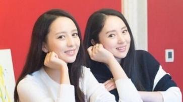 13位有双胞胎的明星你最羡慕谁,有双胞胎的明星对比