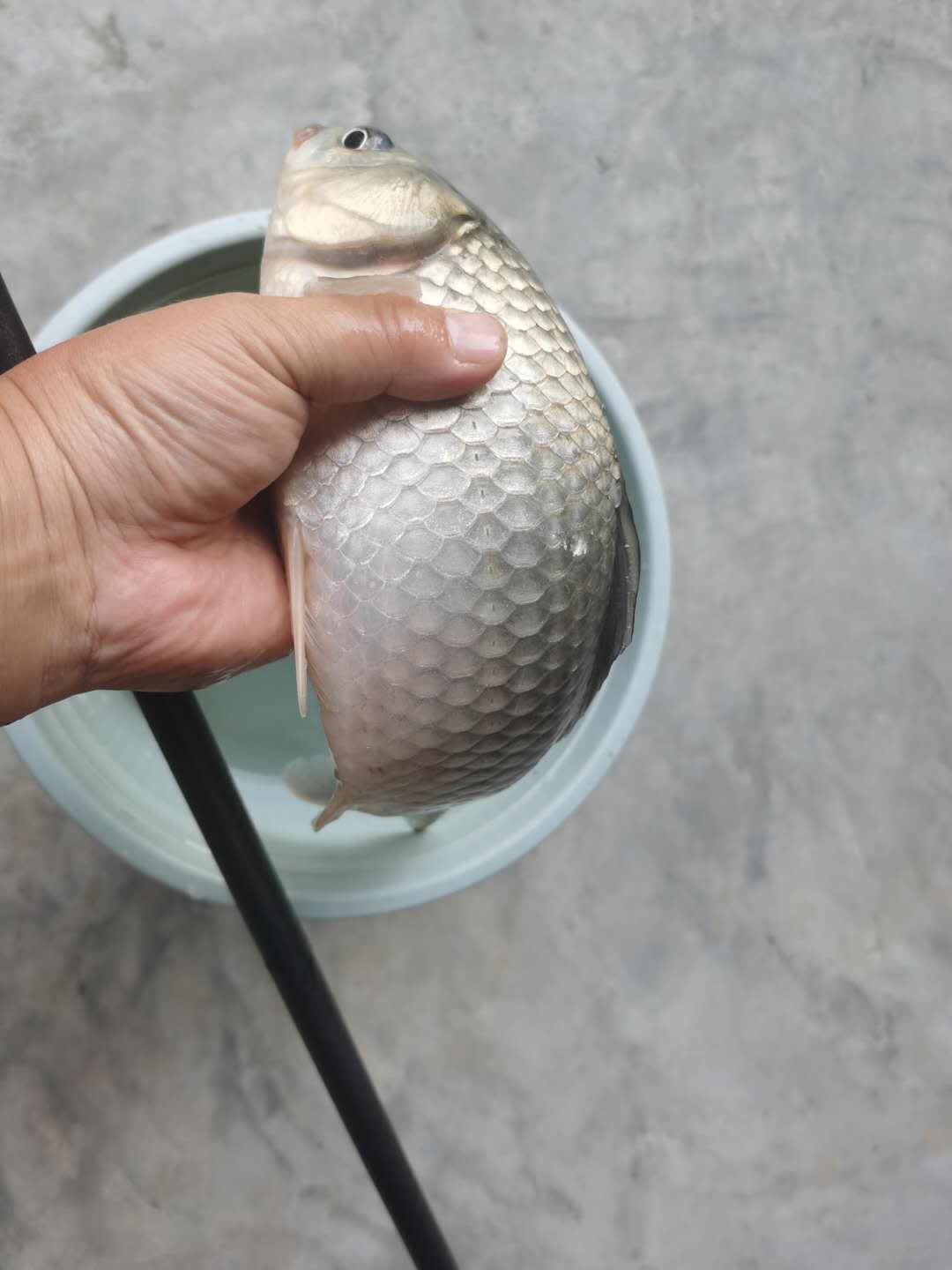 钓鱼初学者这一个任务怎么做,钓鱼线组合的使用方法