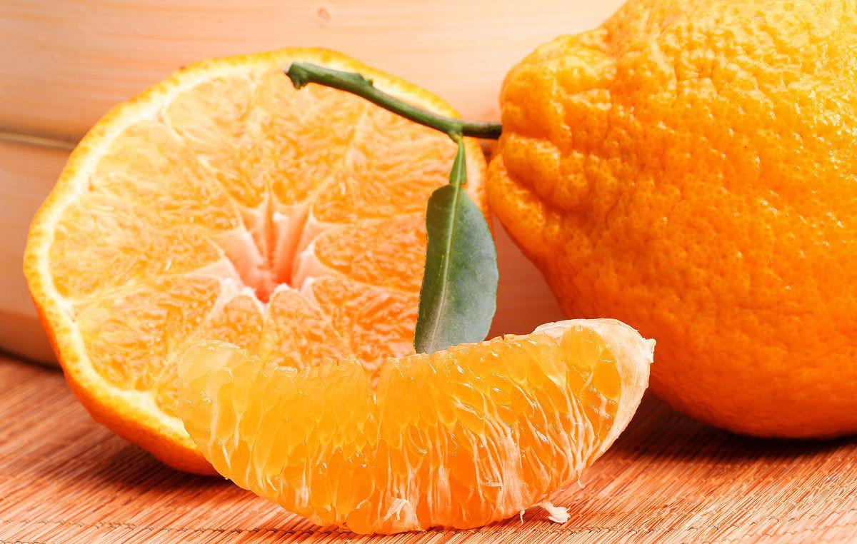 别看它难看，一口就恋爱！够甜够丑够个性的不知火丑柑